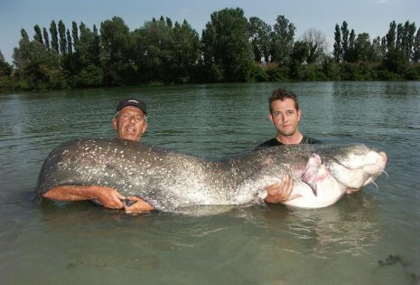 Francijas rekordsams. Foto no http://www.fishing-in-france.com/
